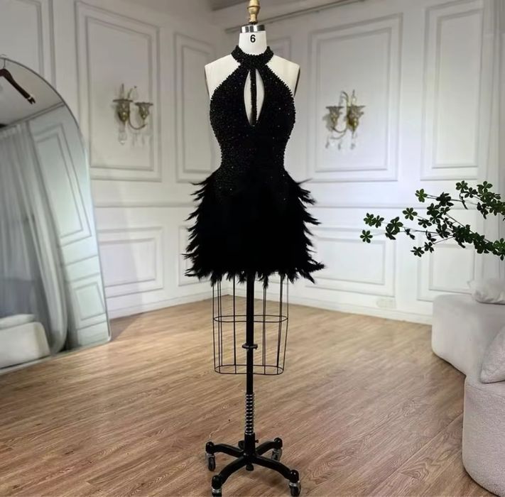 Rochie bijuterie, rochie nasa scurta