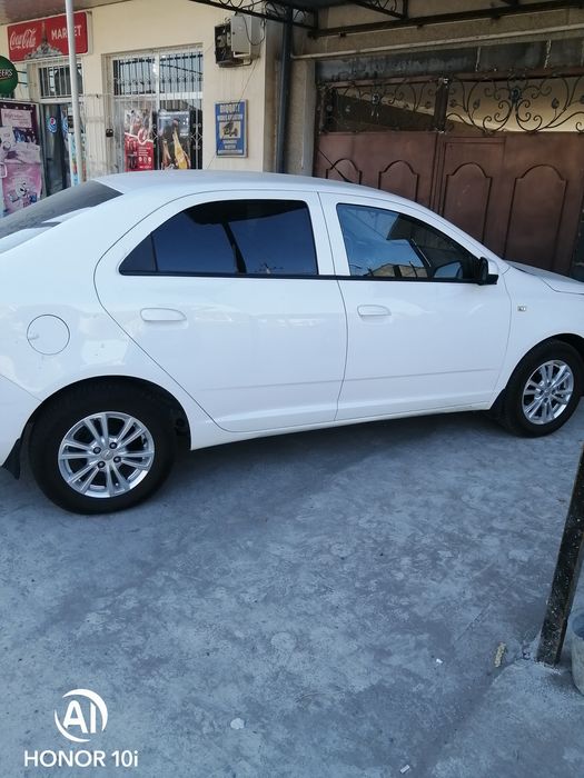 Кобольт белый WAET STAEl 2023