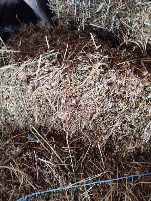 Fan și lucernă baloți