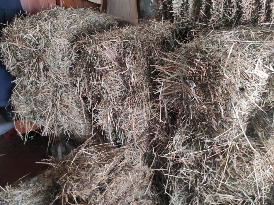 Продам сено в тюках