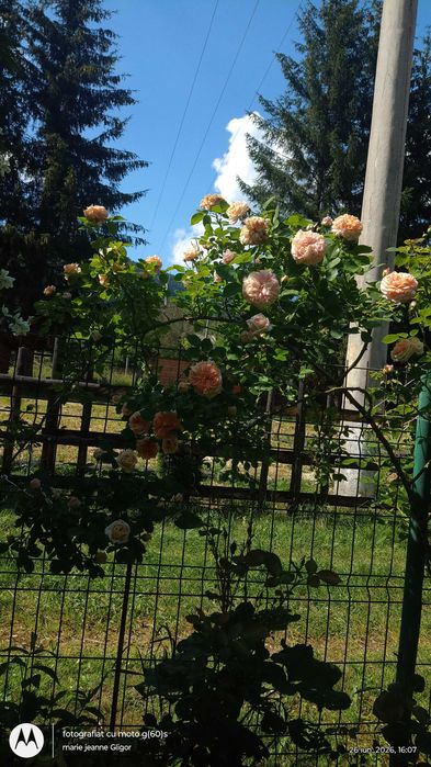 Vânzare casa vacanta Cheia Prahova