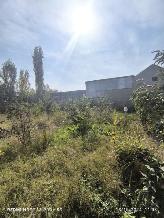 Chek sotiladi Andijon