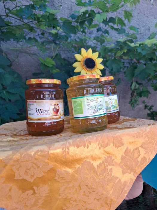 Vand miere de albine si stupi,in conditii excelente.