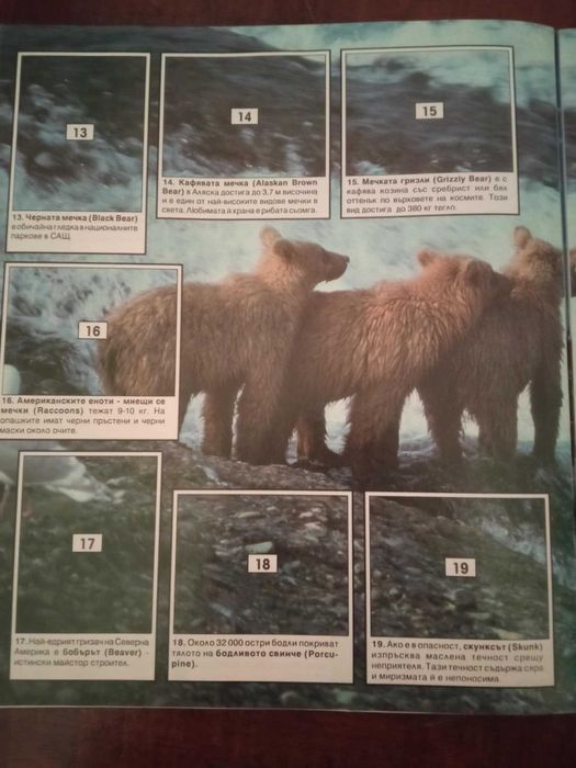 Култови комикси: Доналд Дък (немско издание) и Фют + албуми за стикери