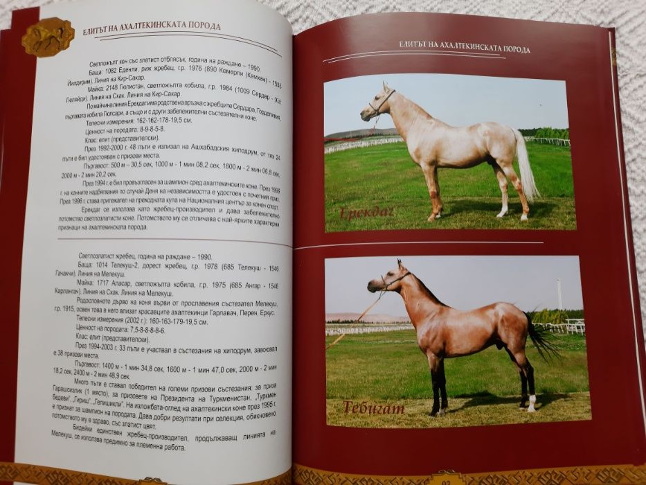 Ахалтекинецът - наша гордост и слава - Гурбангули Бердимухамедов