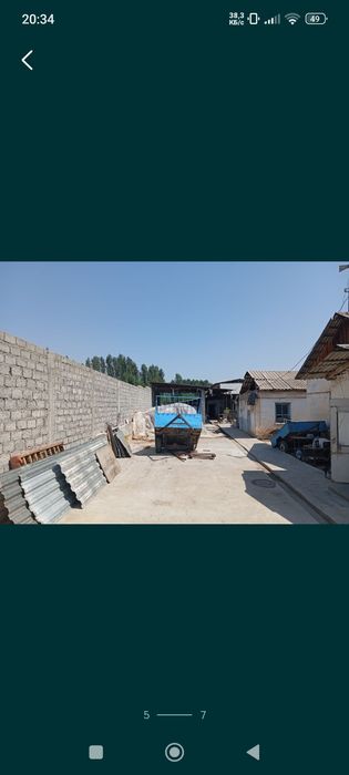 Уй учасика, Юқори чирчиқ