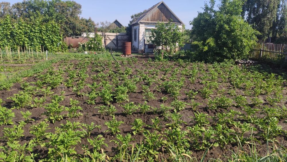 Дача, 19 маршрут, сад.общ. N 4