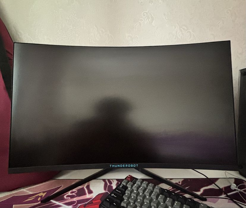 Монитор Thunderobot игровой