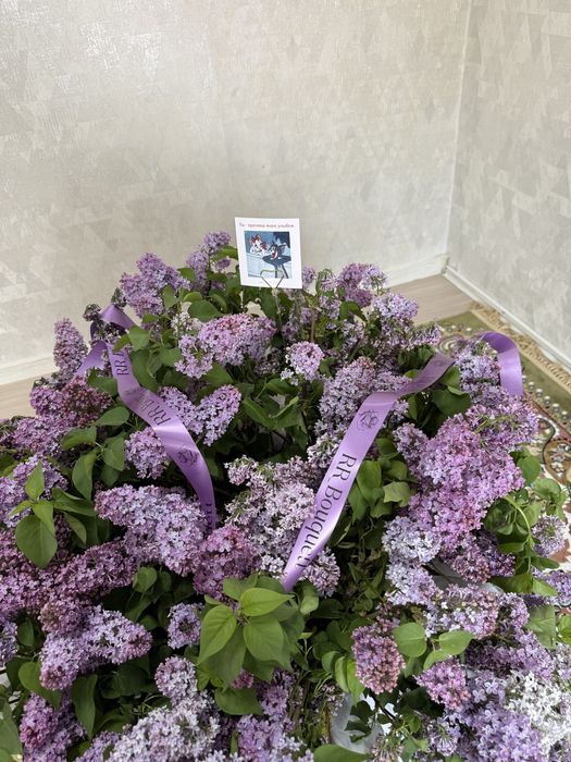 апрельски сирень 35.000тт