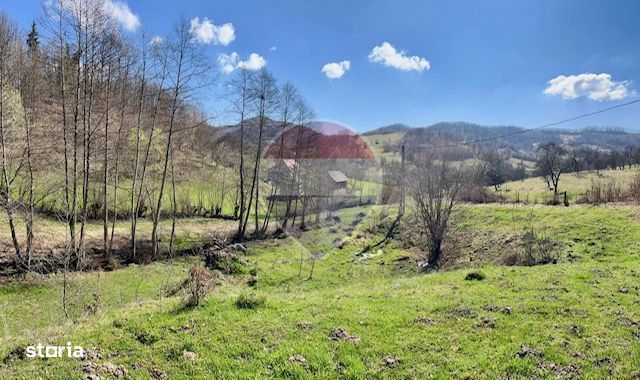 Teren 7,495mp Barsana / Valea Muntelui
