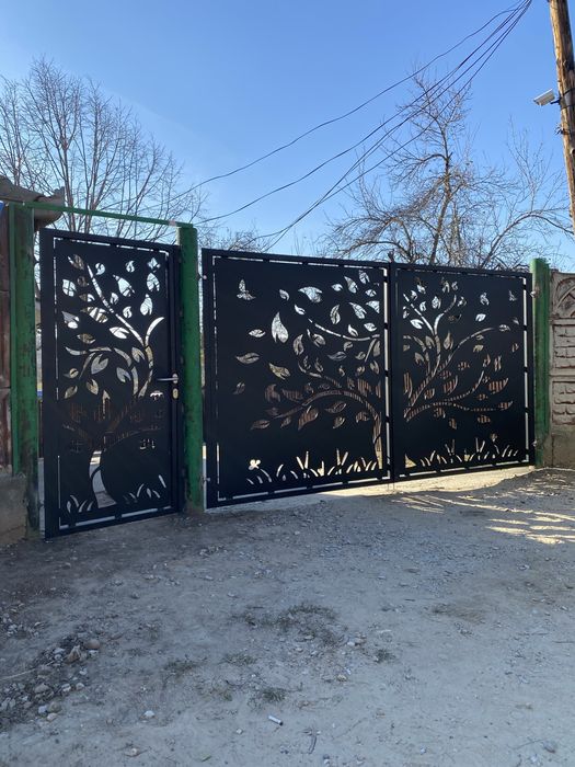 Porti garduri metalice craiova dolj romania