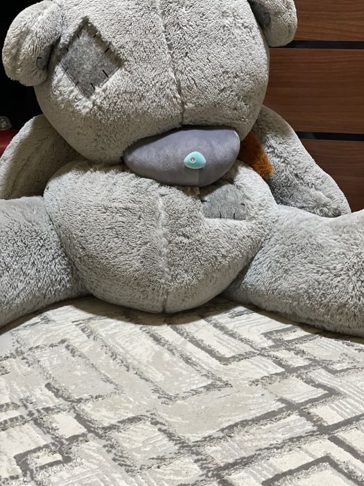 O’yinchoq teddy
