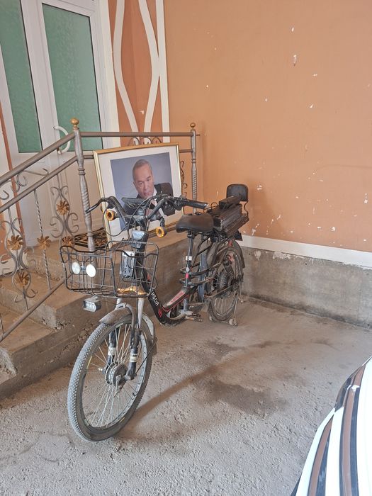 Elektoskuter 100$