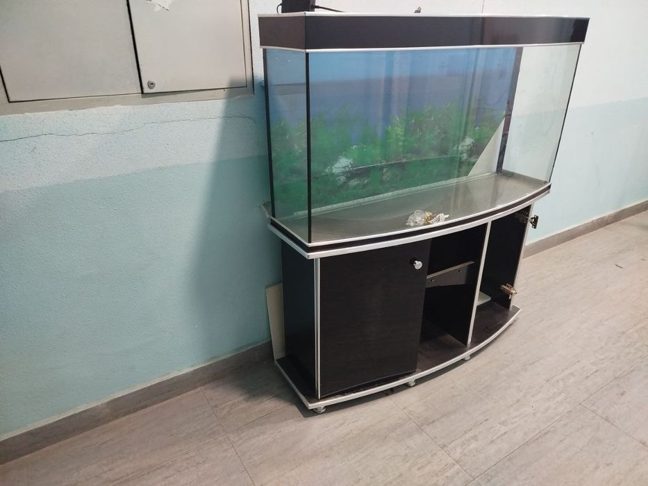 Akvarium sotiladi, yaxshi xolatda