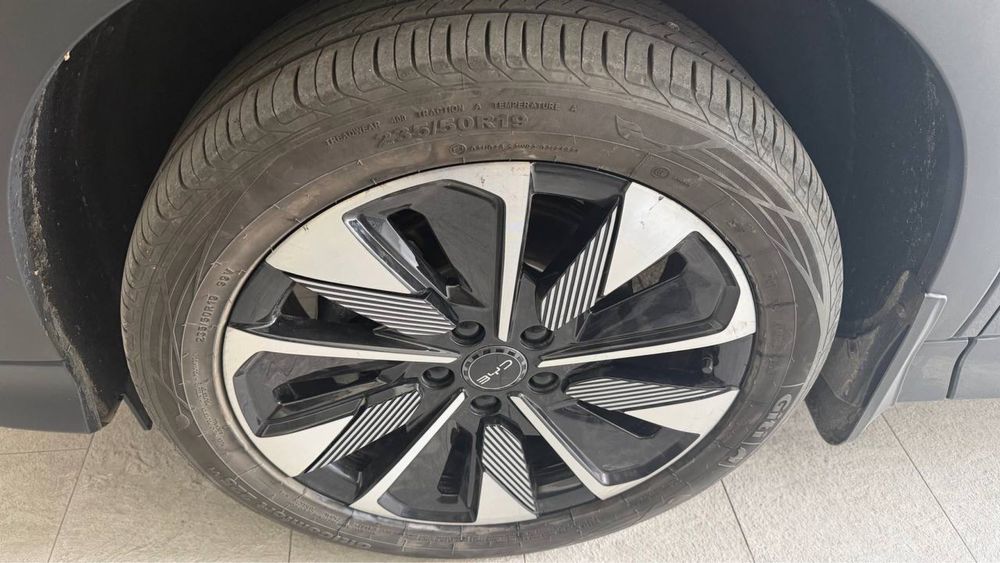 Byd chempion gibrid 150 tali kraska toza