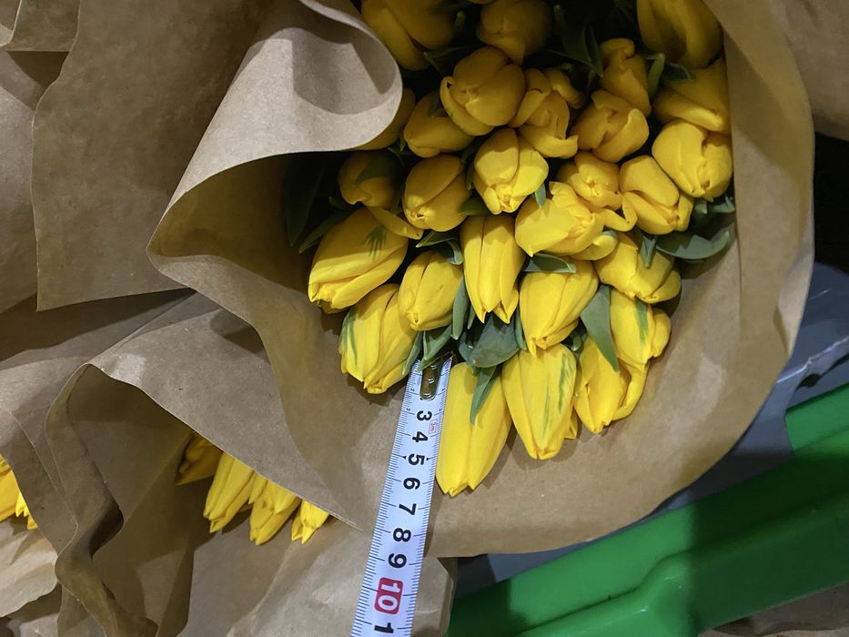 Оптом Астана самый крупный в астане