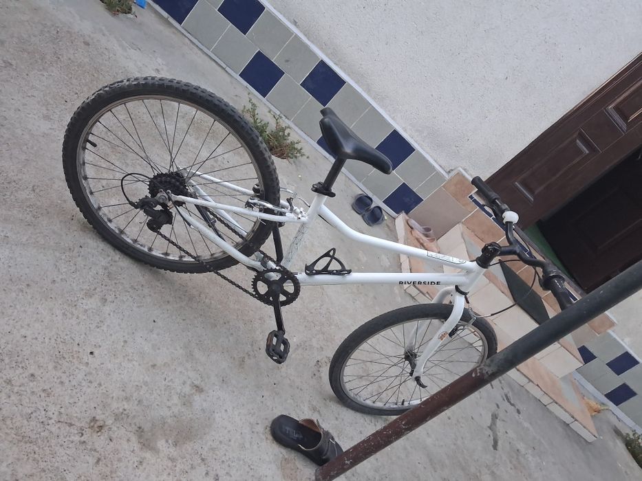 Bicicleta raivaloso