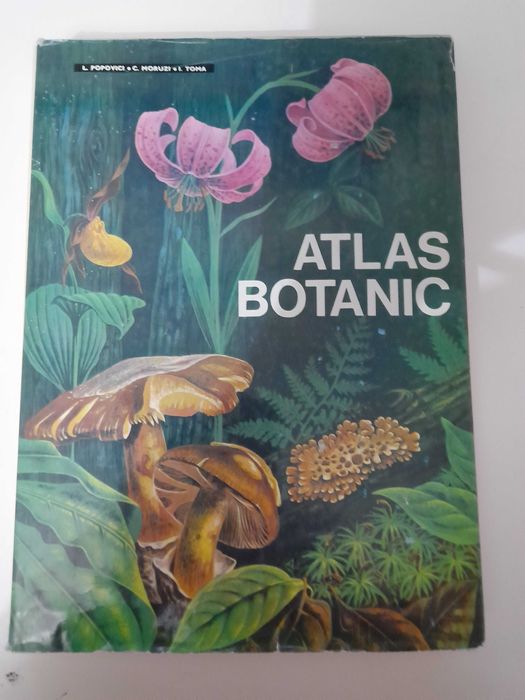 PF vand Atlas botanic si Enciclopedia religiilor vol 1