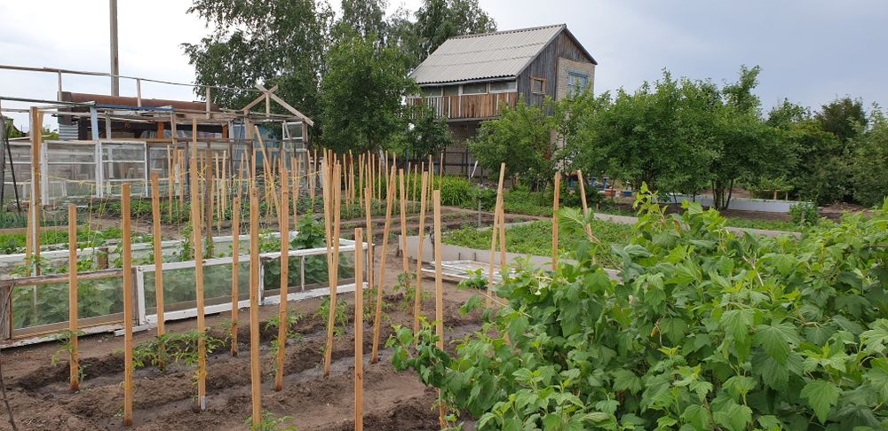 Дача 12 соток СО Текстильщик-2