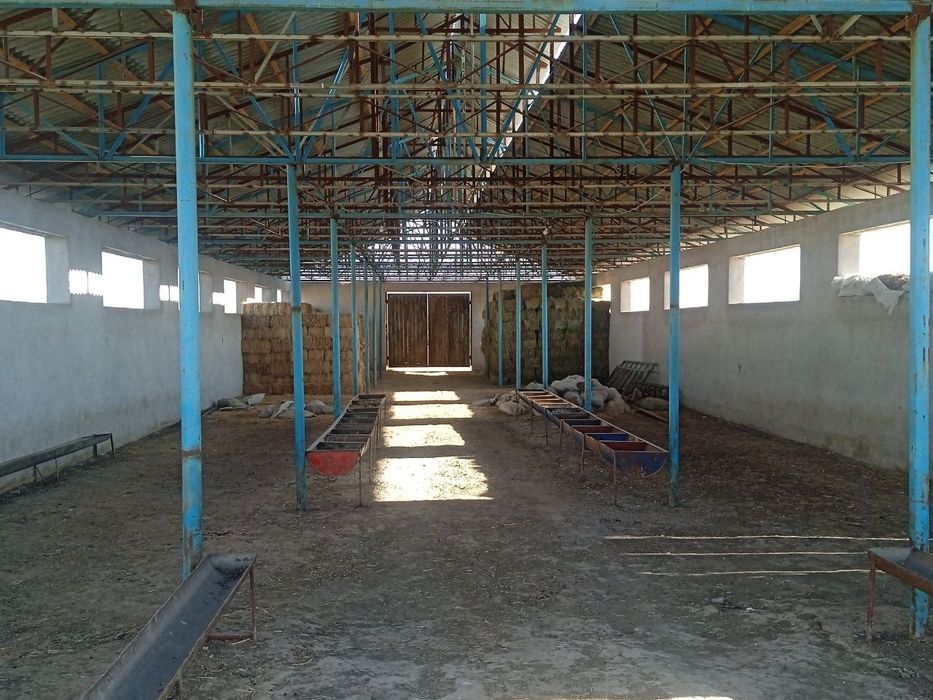 Ферма. Земля. 1 гектар.