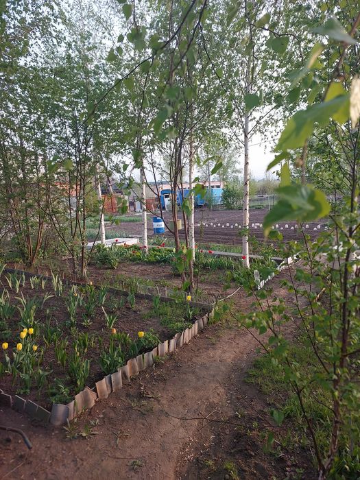 Продам участок под строитво дома.