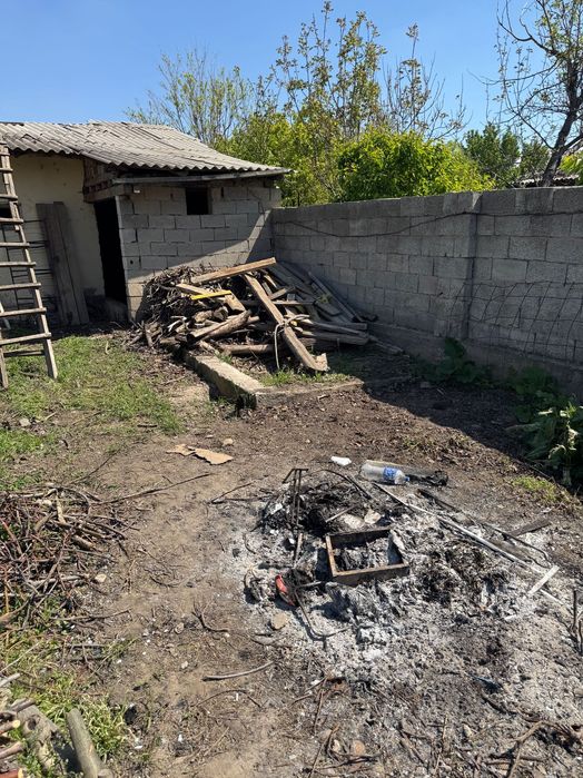 Отынға ағаштар, бұталған дайын