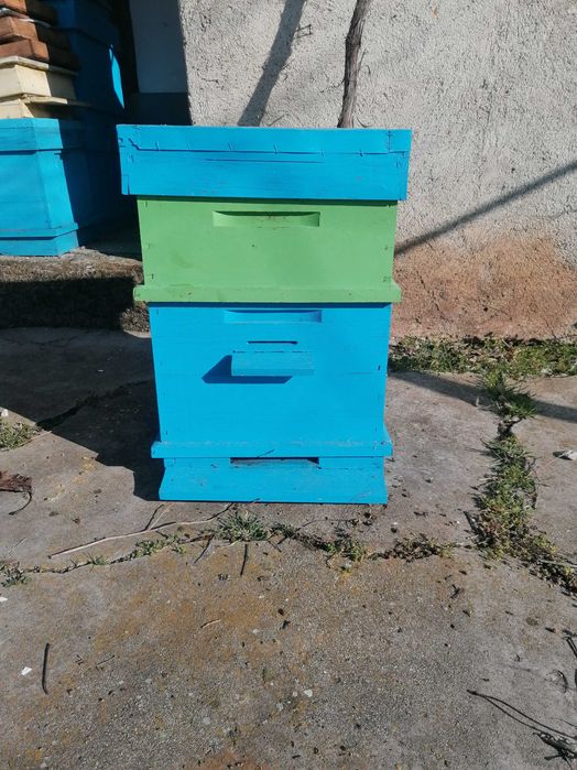 60 броя пчелни кошери Дадан Блат