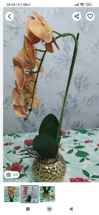 Орхидея прекрасная