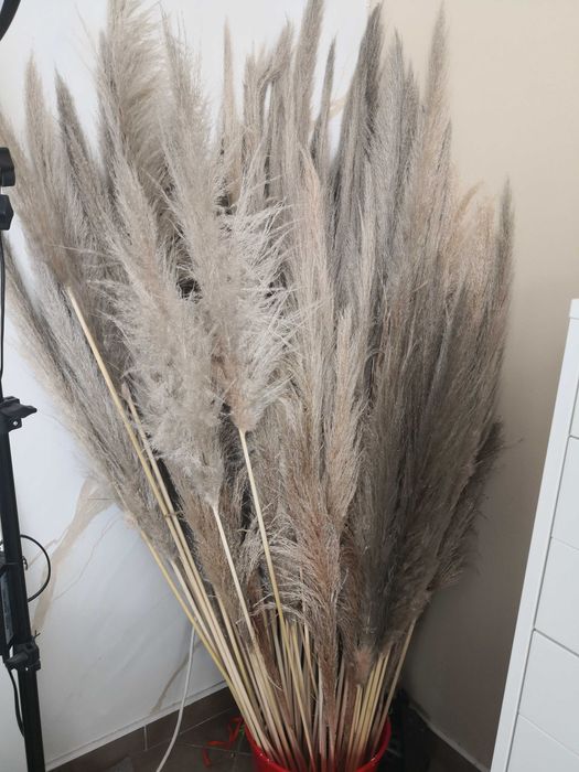 Букети за декорации/гипсофила, пампас/пампаска трева, божур, хортензия