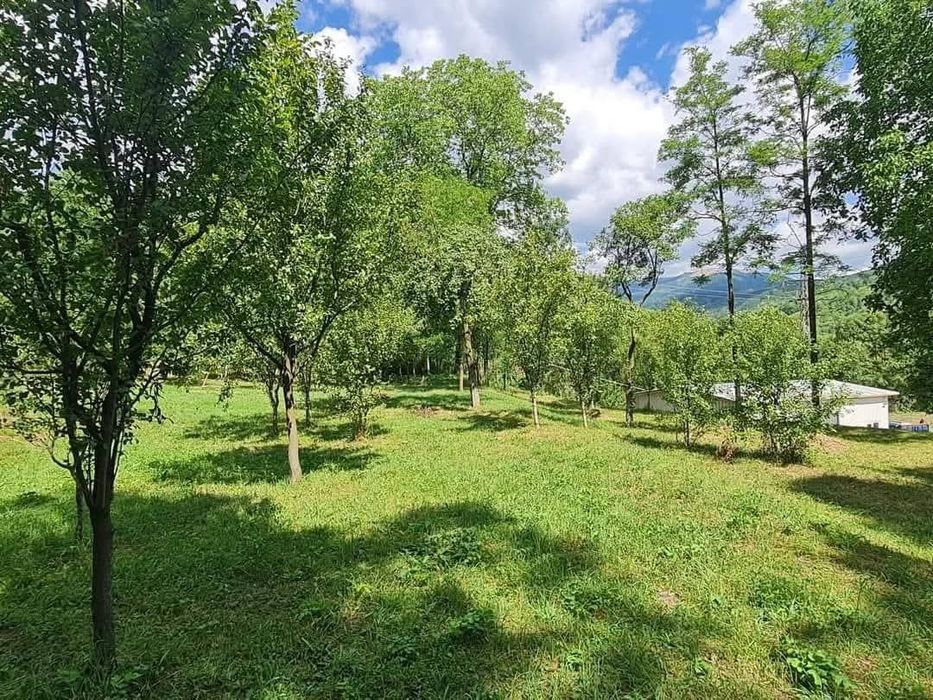 Vânzare teren intravilan