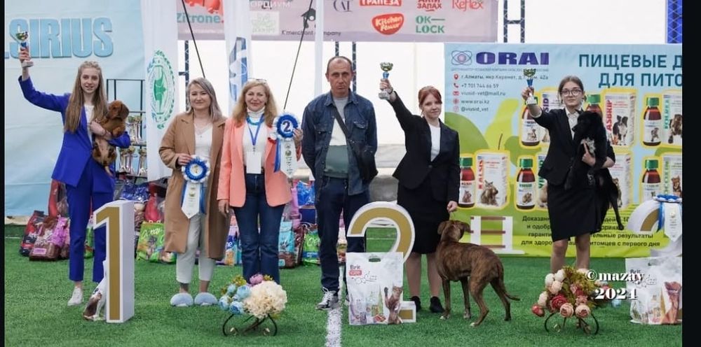 Хендлер,кинолог.