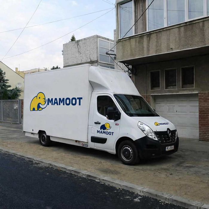 Mutari mobila, relocari locuinte si firme