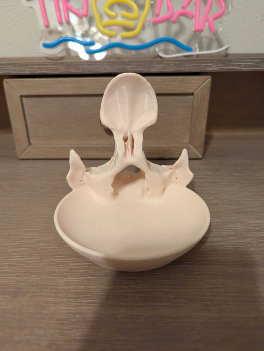 Поставка за очила и ключове – Череп "Skull Bowl" (3D принт)