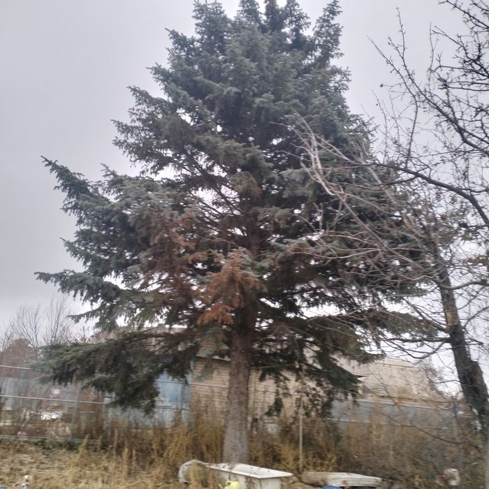 Продам дачу. Рон Саздинское водохранилище.