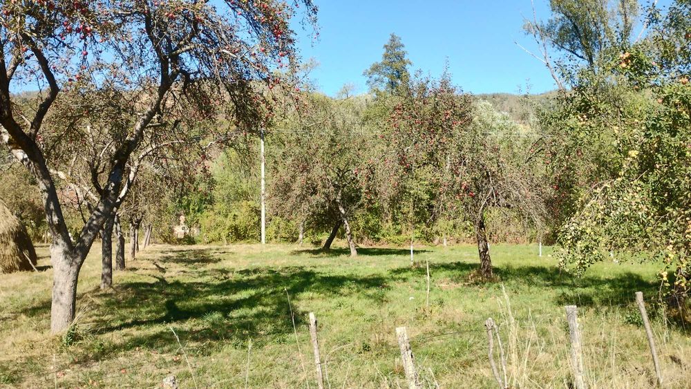 Teren intravilan in zona de munte la 2,7 euro mp