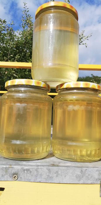 Miere rapiță, mentă, mană.