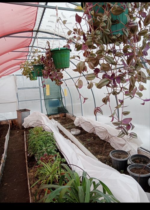 Продам теплицу 3*8