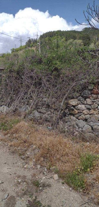 Продава се Къща в Твърдица - 60 кв.м за 400 €/кв.м - Снимка #5