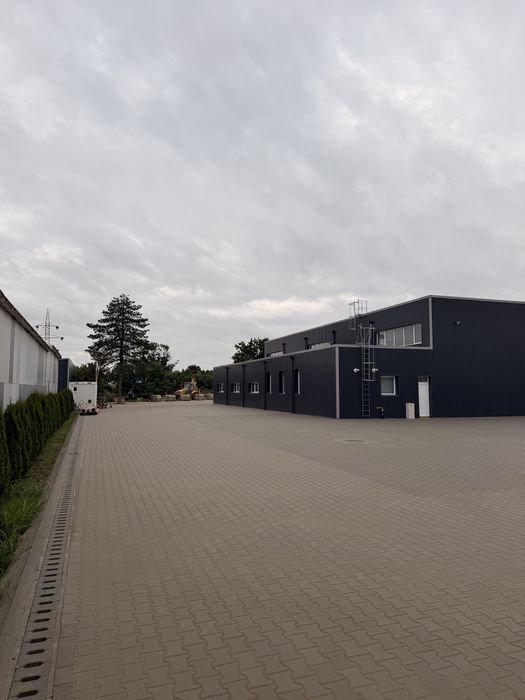 Hala 974mp de inchiriat centura vis a vis de mall Braila