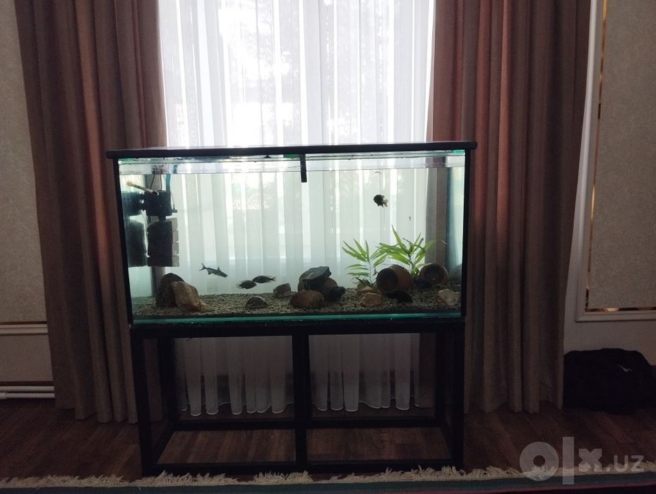 Akvarium sotiladi