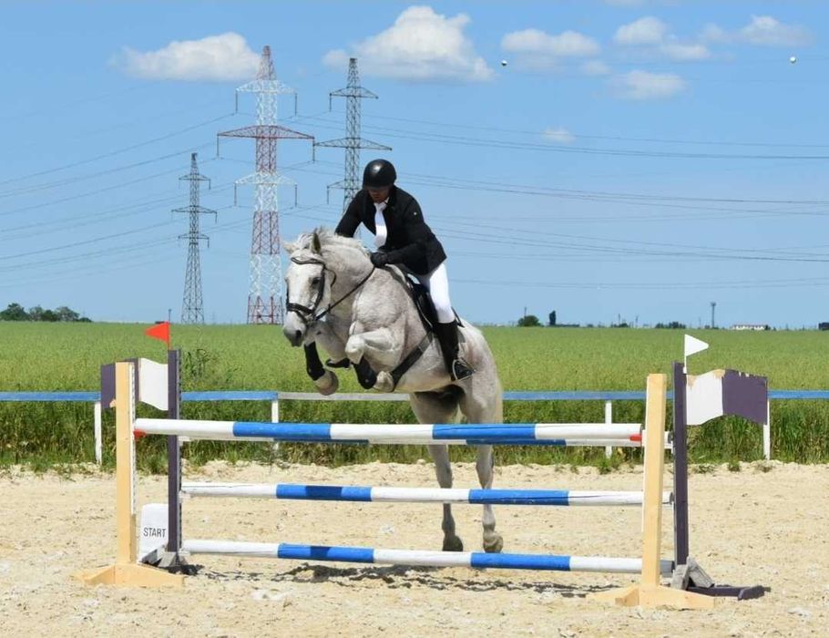 Cal de proba completă, de vanzare