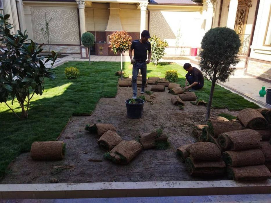 Gazon ekish xizmati.