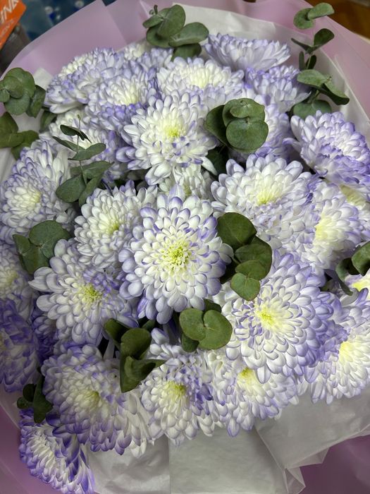 Продаю цветы красивые