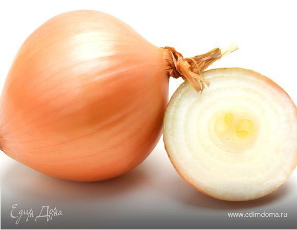 Лук семена продам