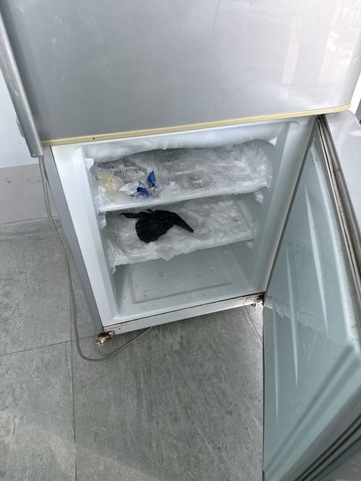 Холодильник LG Пригородный срочно продам