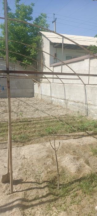 Teplitsa, kontener materialdan