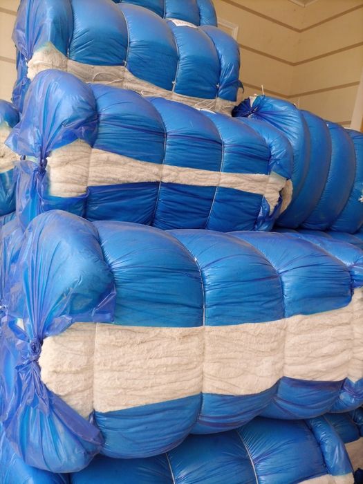 Paxta Toshkent boʻylab OPTUM narxlarda.