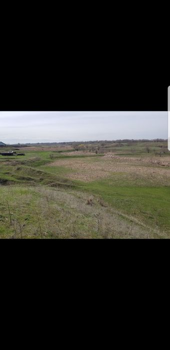 20Га земля село Береке