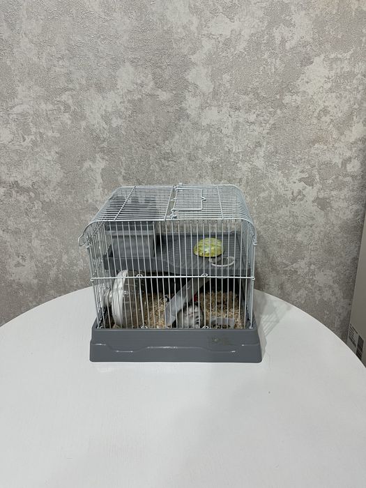 Продам хомячка с клеткой