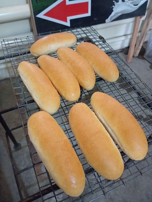 Xot dog Gamburger noni bor